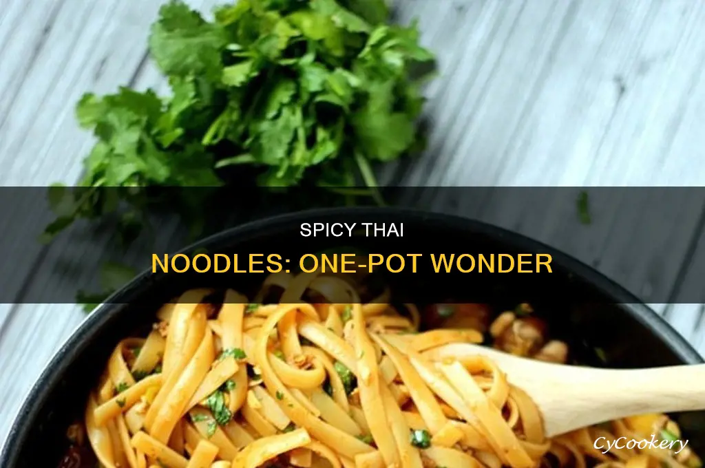 how to cook one pot spicy thai noodles