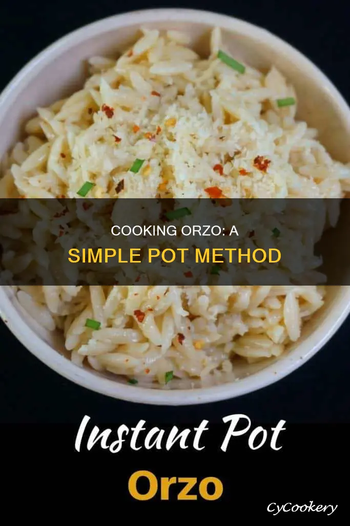 how to cook orzo in pot