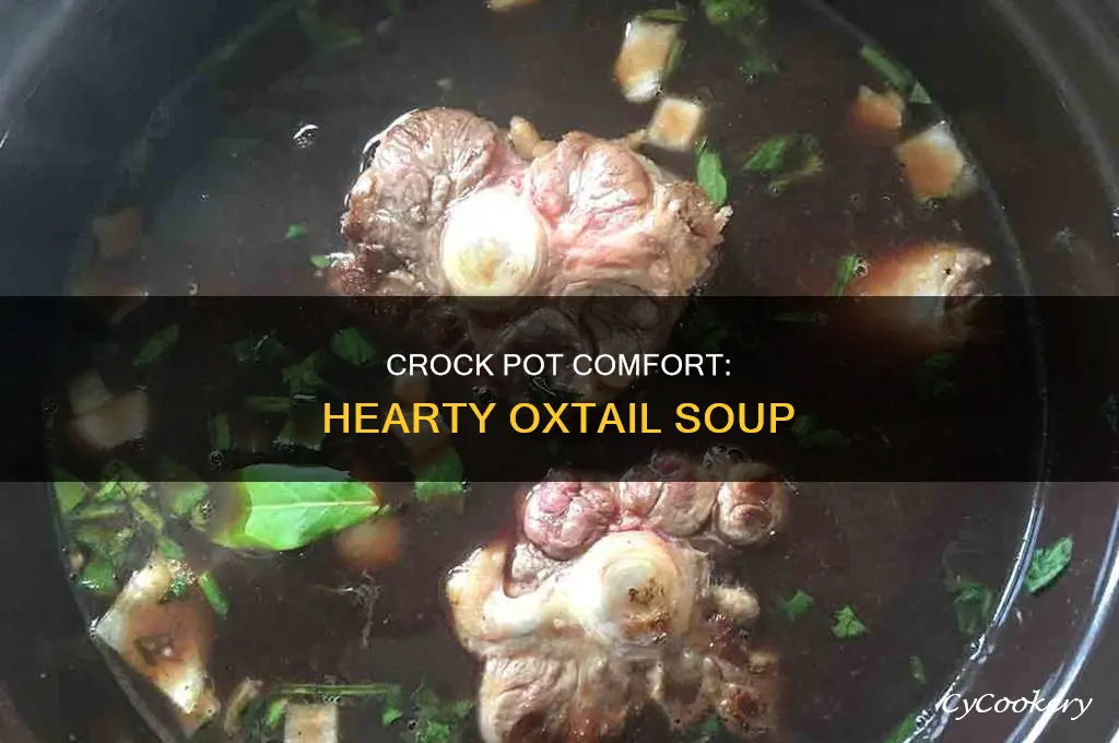 how to cook oxtail soup in crock pot