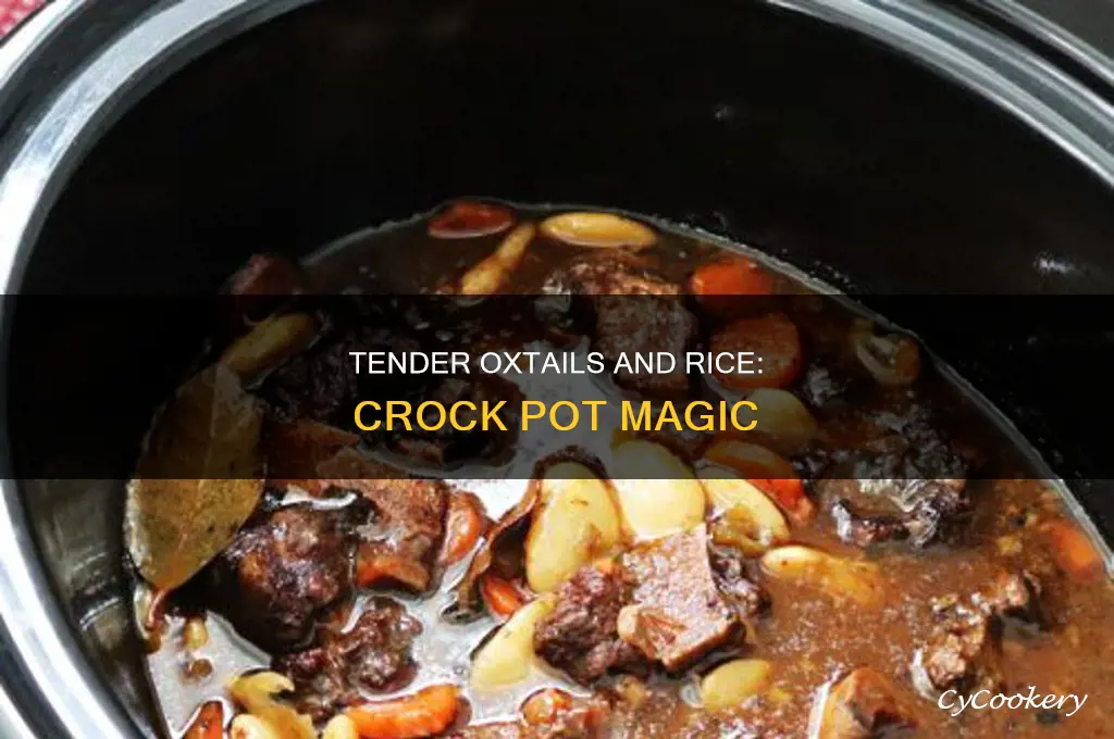 how to cook oxtails and rice in crock pot