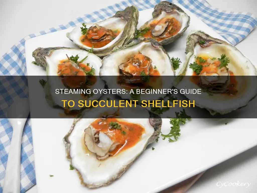 how to cook oysters steamed