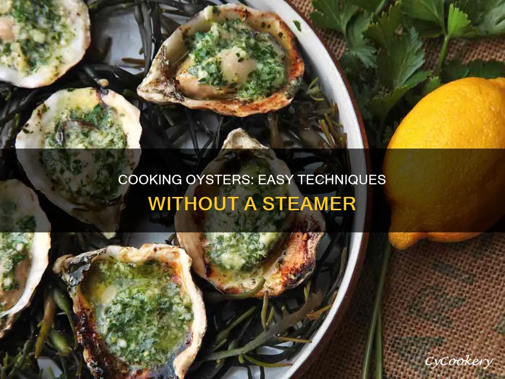 how to cook oysters without a steamer