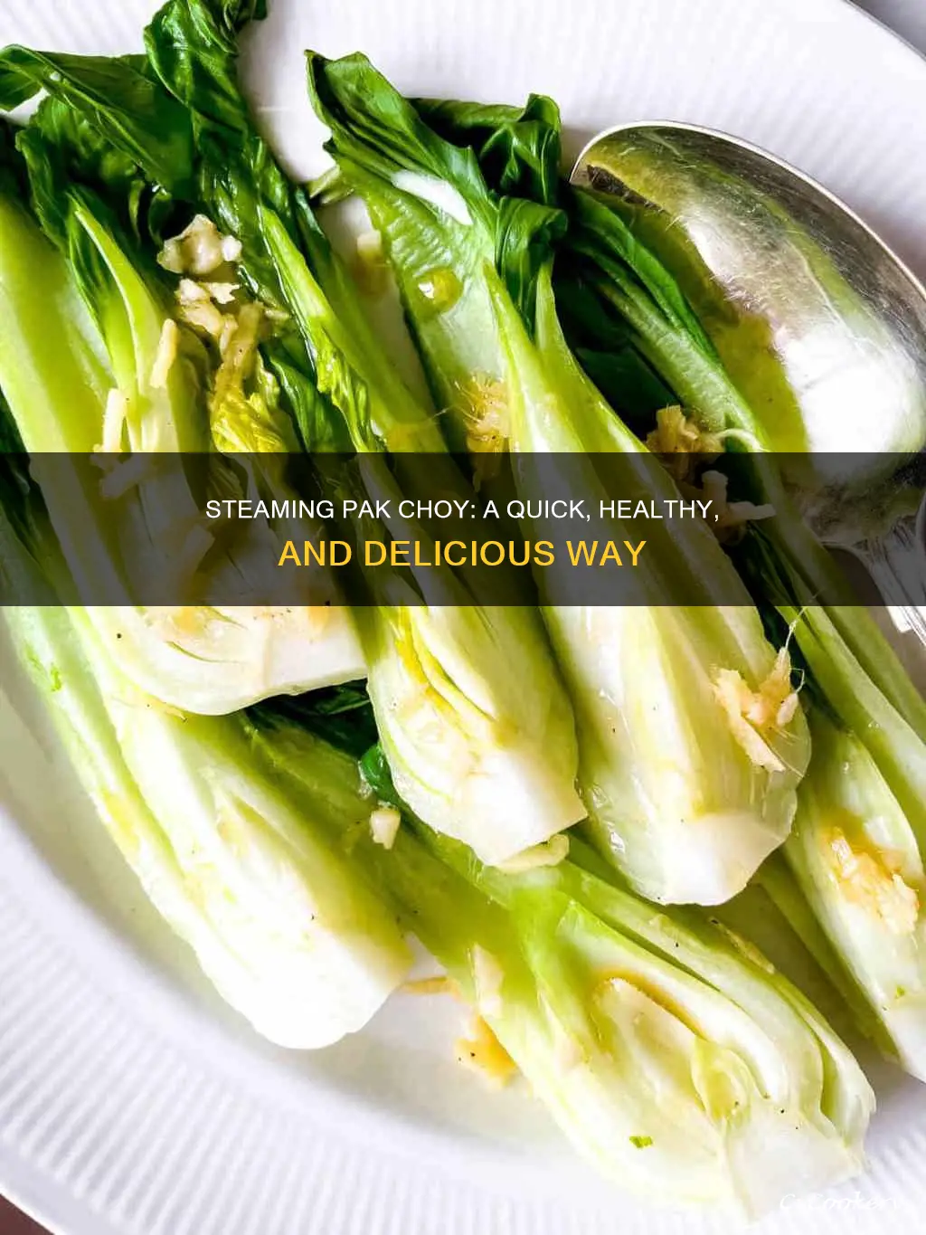 how to cook pak choy steam