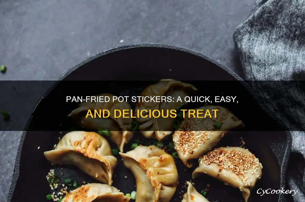 how to cook pan fried pot stickers