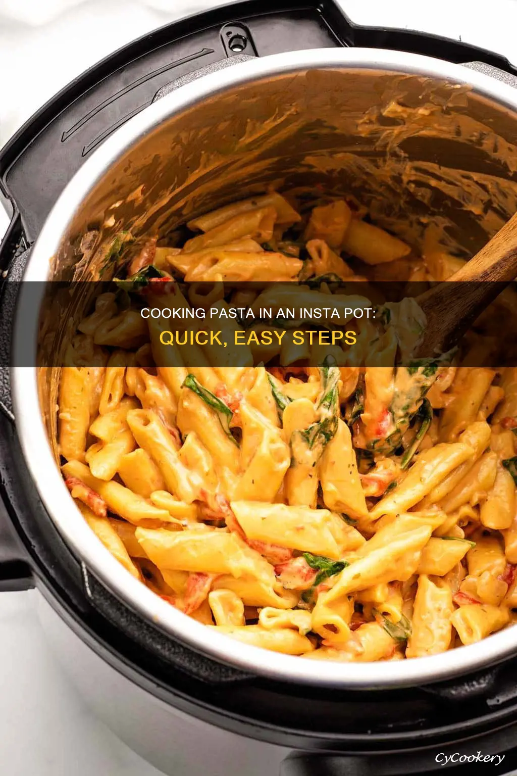 how to cook pasta in insta pot