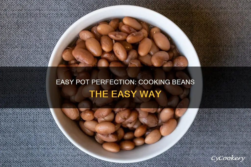 how to cook perfect beans in the easy pot