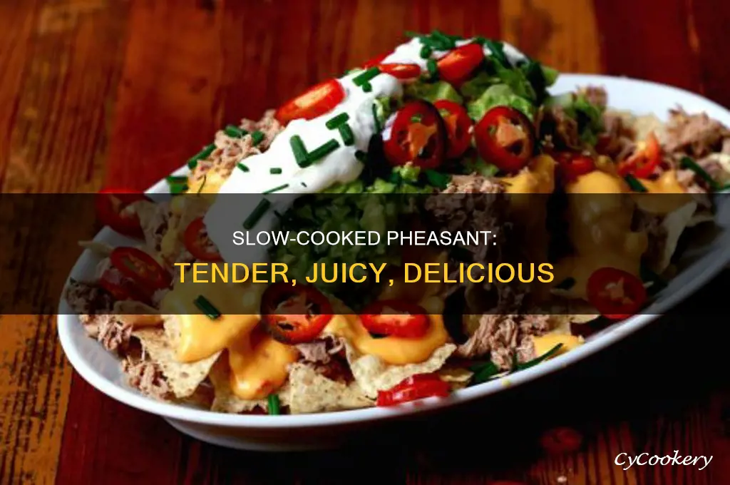 how to cook pheasant breast in a crock pot
