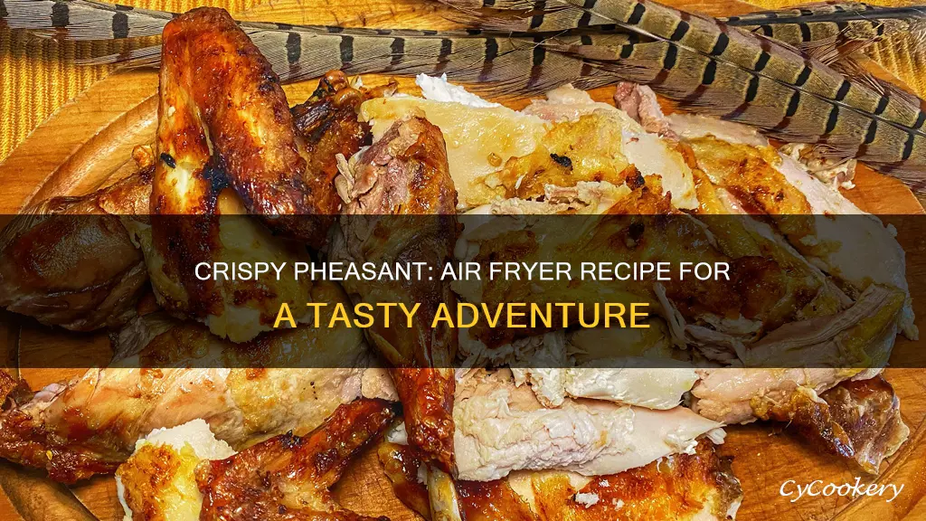 how to cook pheasant in air fryer