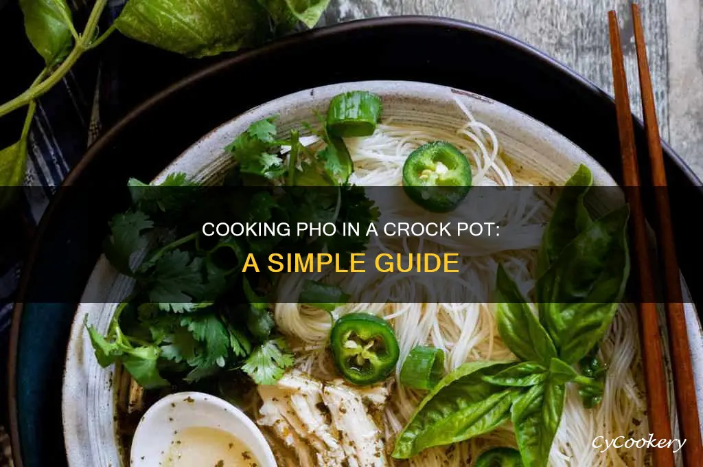 how to cook pho in a crock pot