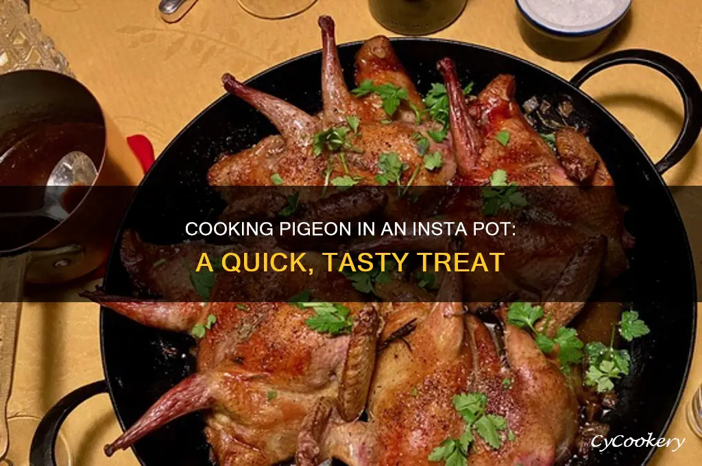 how to cook pigeon bird in insta pot