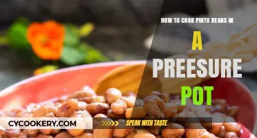 Pressure-Cooking Pinto Beans: Quick, Easy, Delicious!