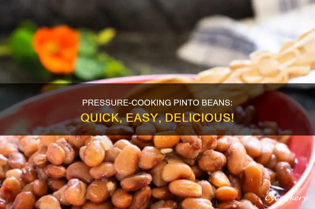 how to cook pinto beans in a preesure pot