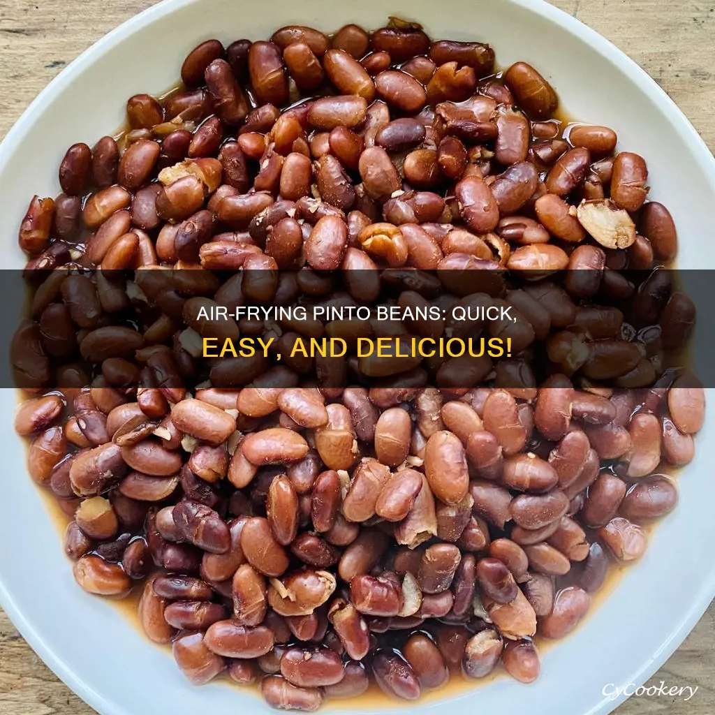 how to cook pinto beans in air fryer