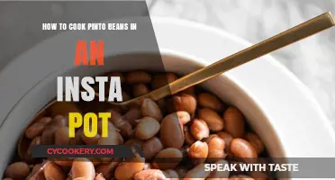 Insta Pot Pinto Beans: Quick, Easy, Delicious