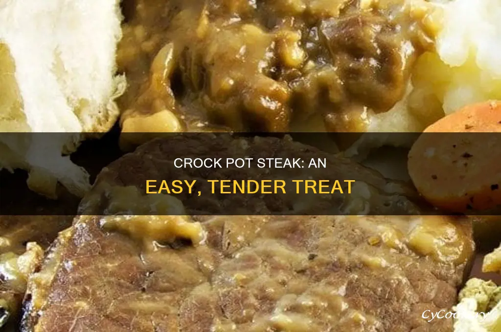 how to cook plain steak in a crock pot