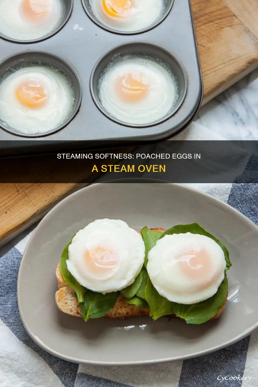 how to cook poached eggs in a steam oven