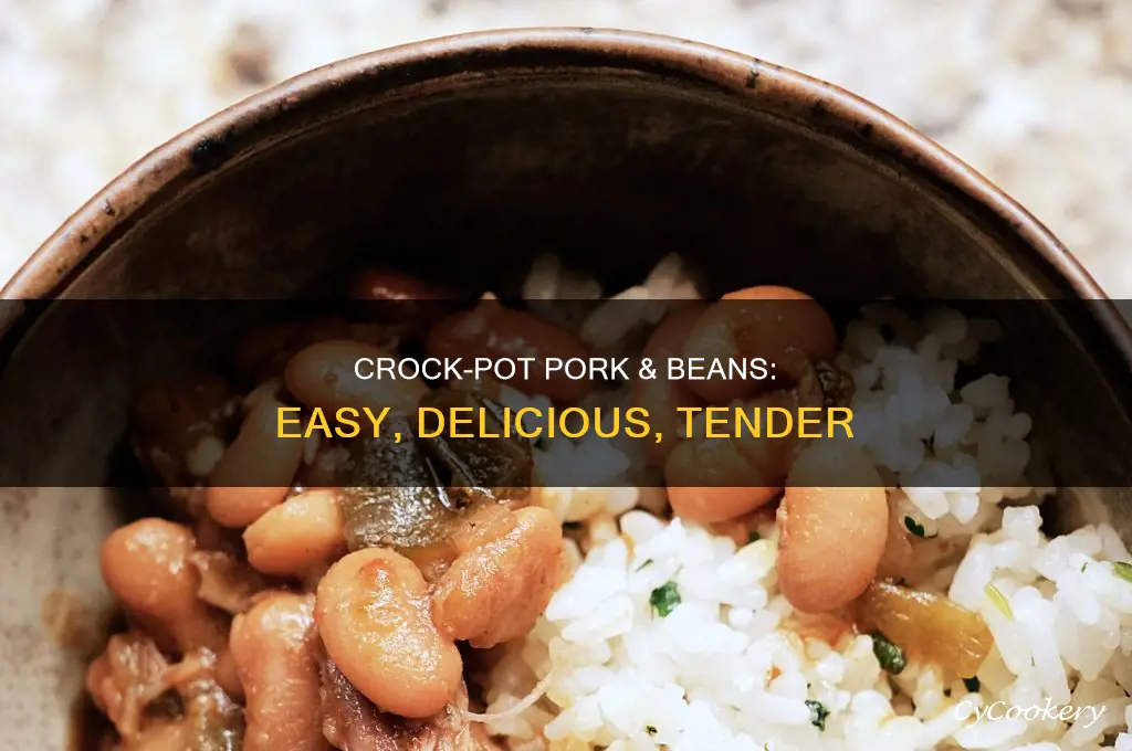 how to cook pork and beans in a crock pot