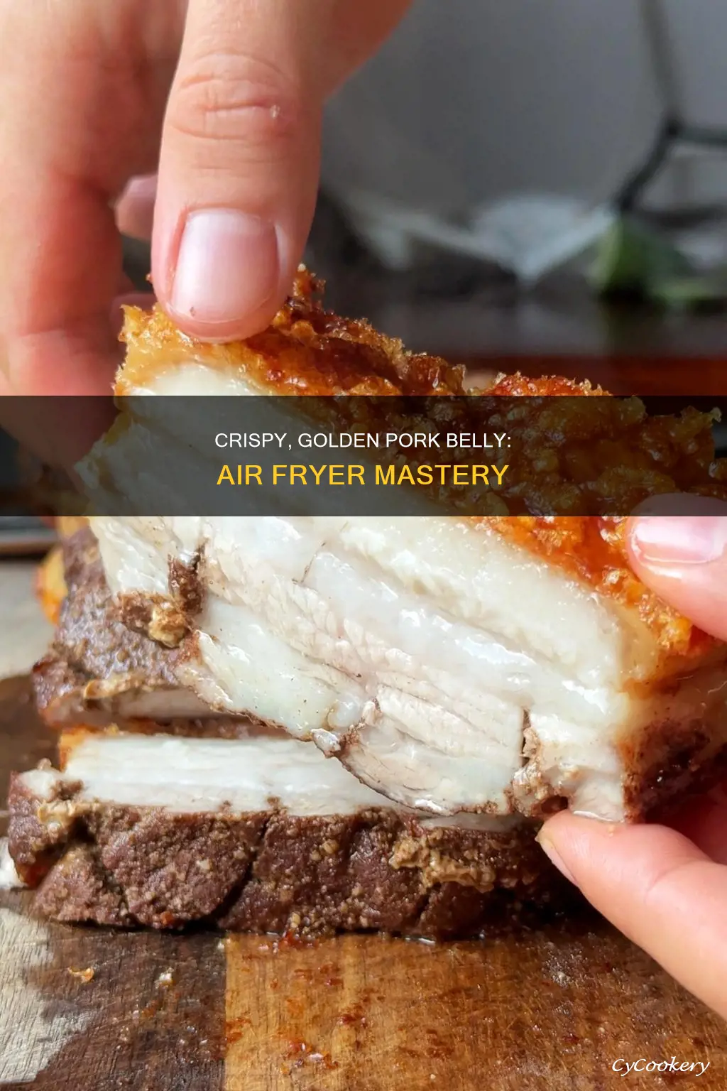 how to cook pork belly air fryer