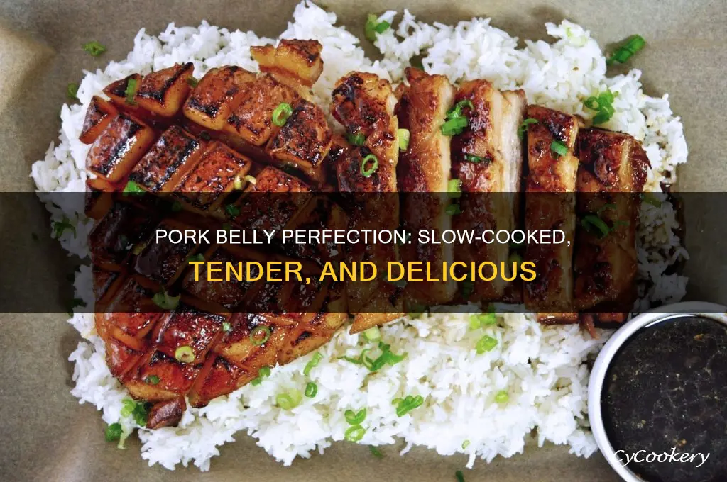 how to cook pork belly crock pot