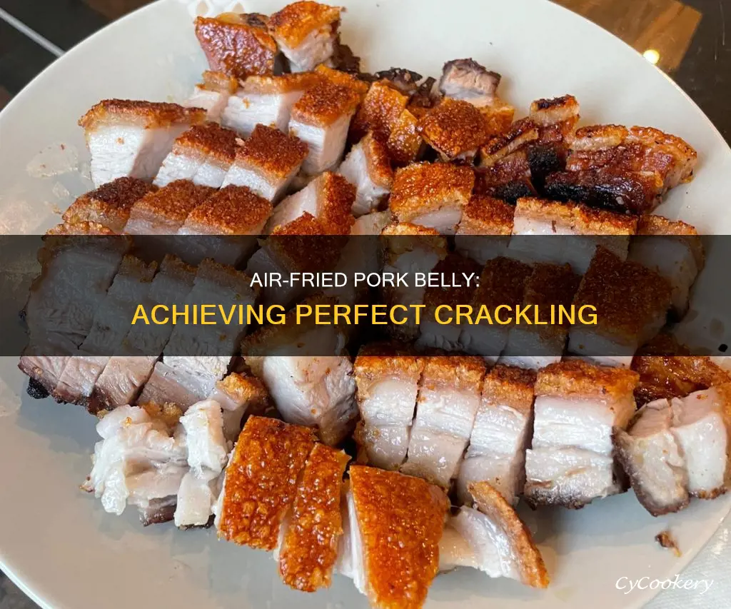 how to cook pork belly with crackling in air fryer