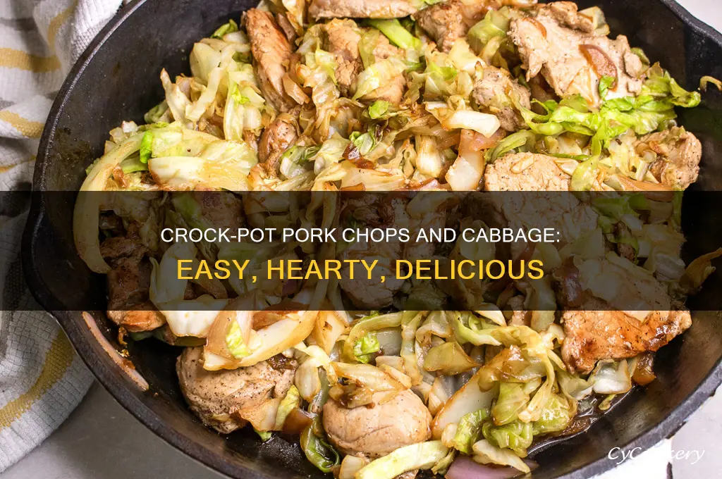 how to cook pork chops and cabbage in crock pot