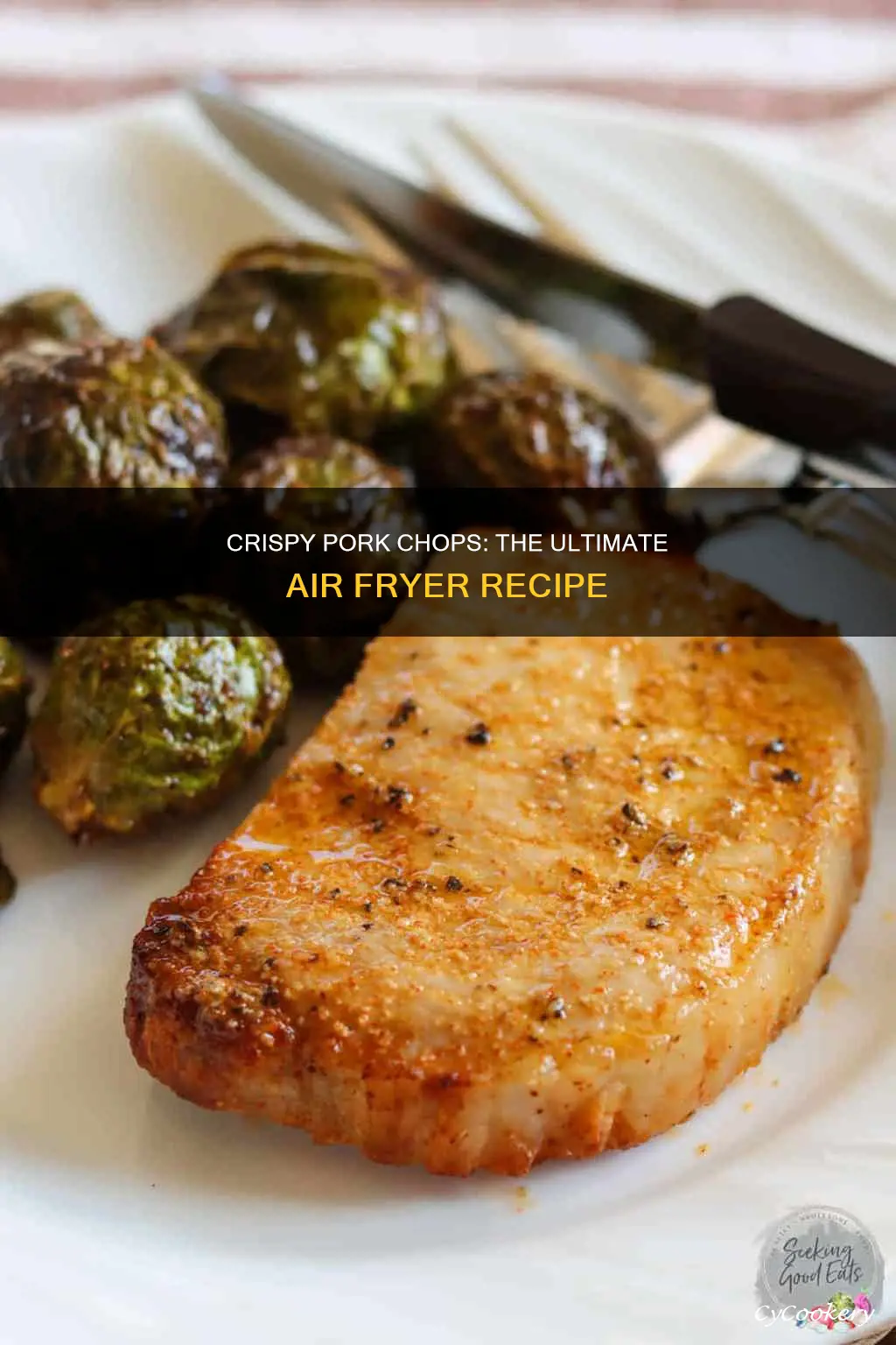 how to cook pork chops in chefman air fryer