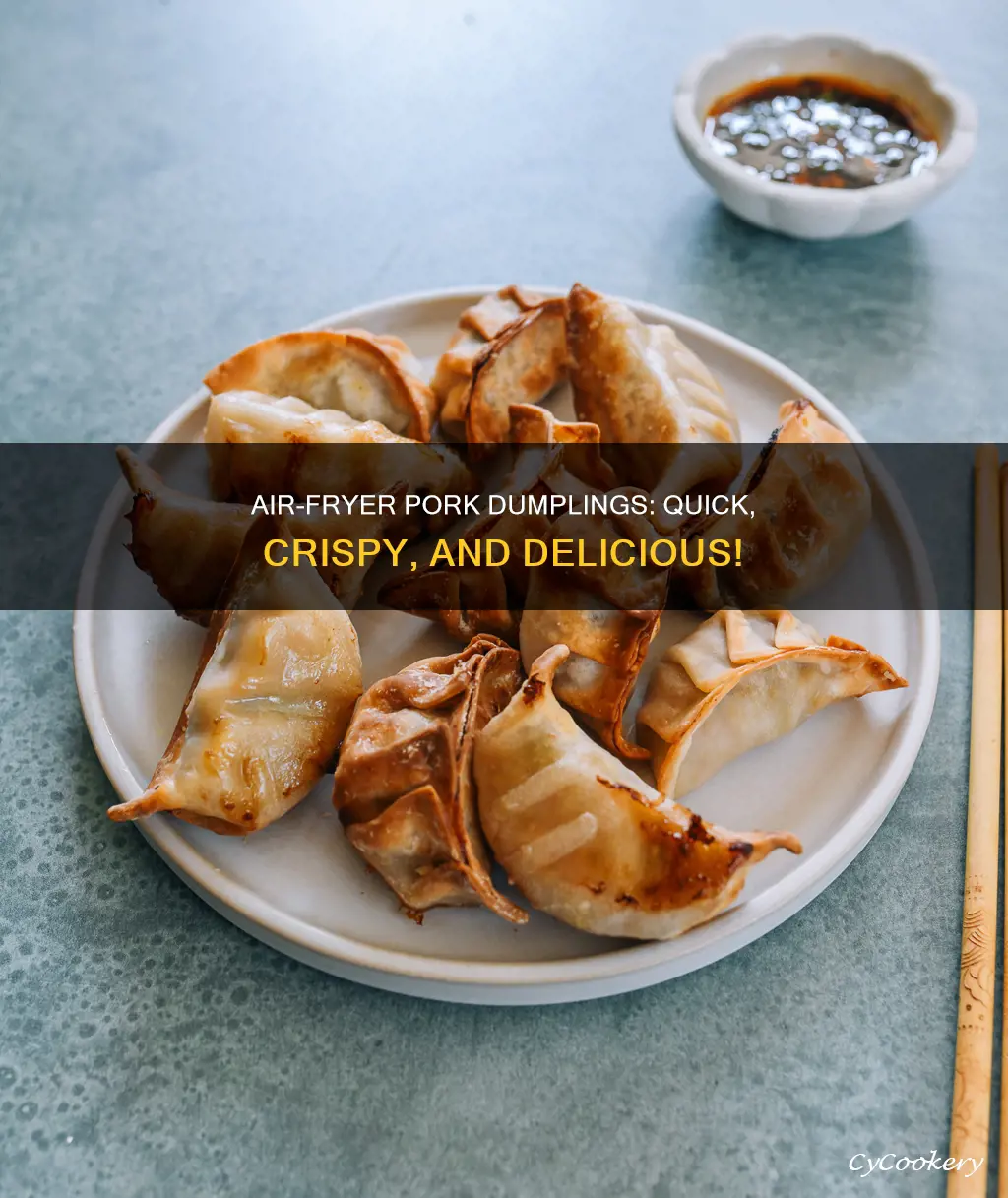 how to cook pork dumplings in air fryer