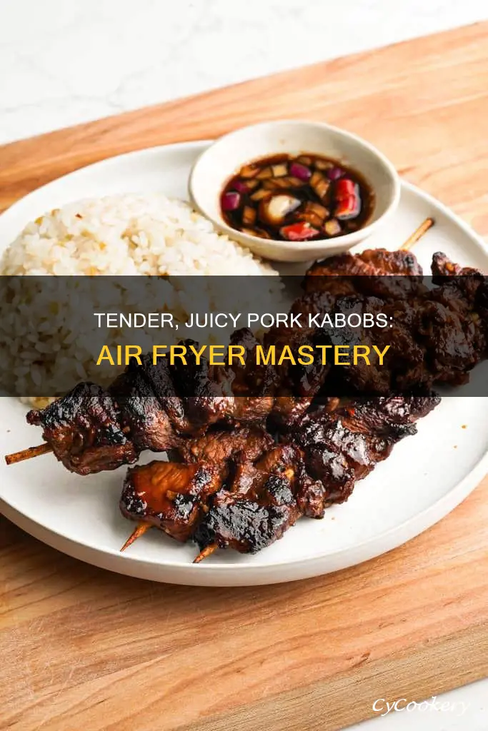 how to cook pork kabobs in air fryer