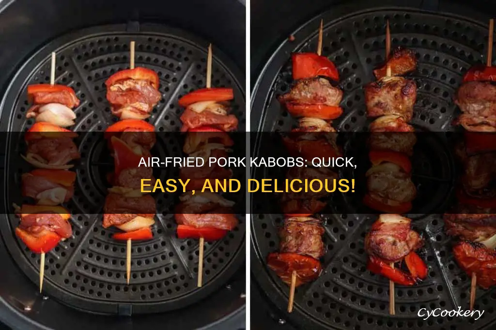 how to cook pork kabobs in air fryer
