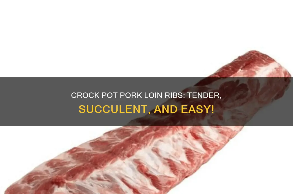 how to cook pork loin ribs half boneless crock pot