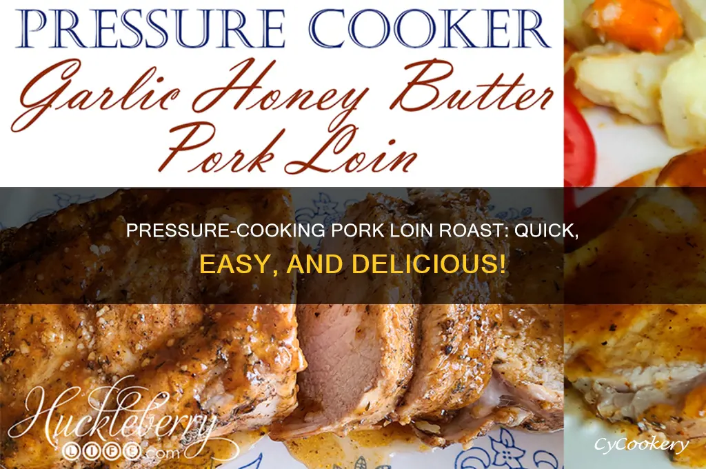 how to cook pork loin roast in pressure pot
