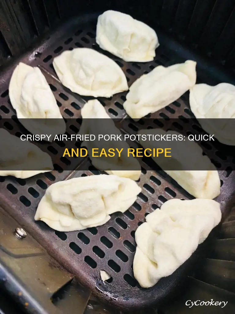 how to cook pork potstickers in air fryer