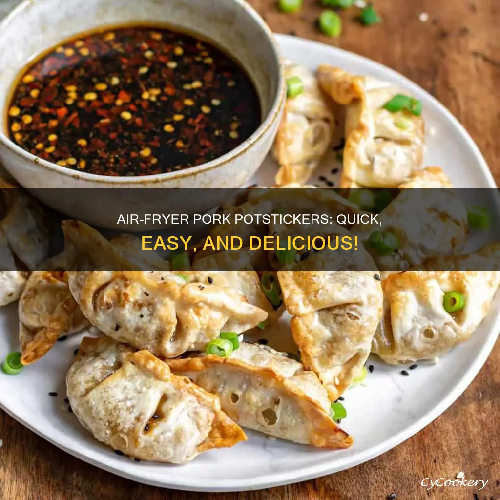 how to cook pork potstickers in air fryer