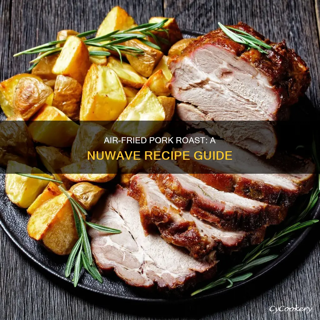 how to cook pork roast in nuwave air fryer
