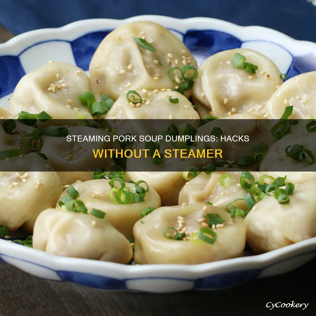 how to cook pork soup dumplings without a steamer