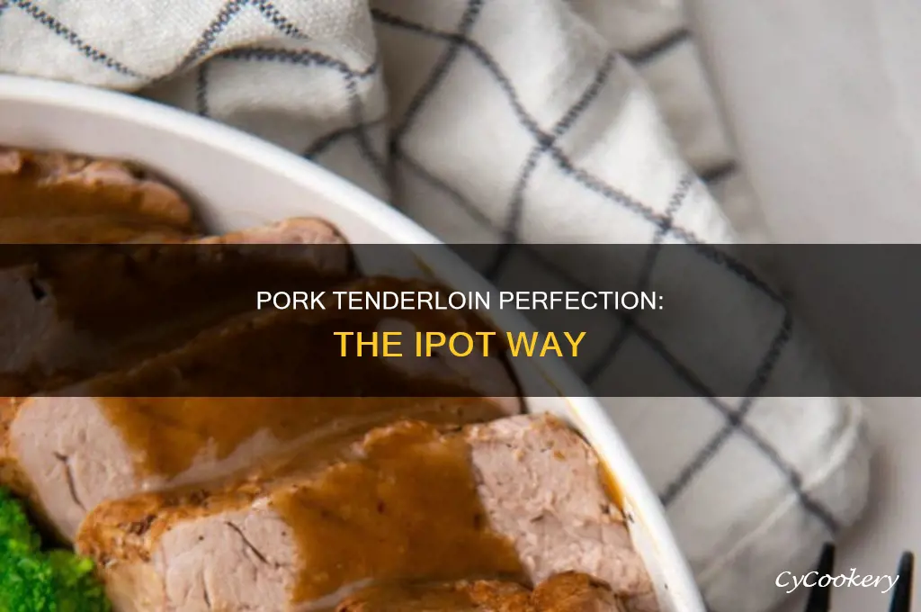 how to cook pork tenderlion in a I pot