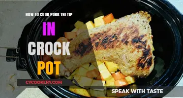 Pork Tri-Tip Perfection: Crock-Pot Cooking