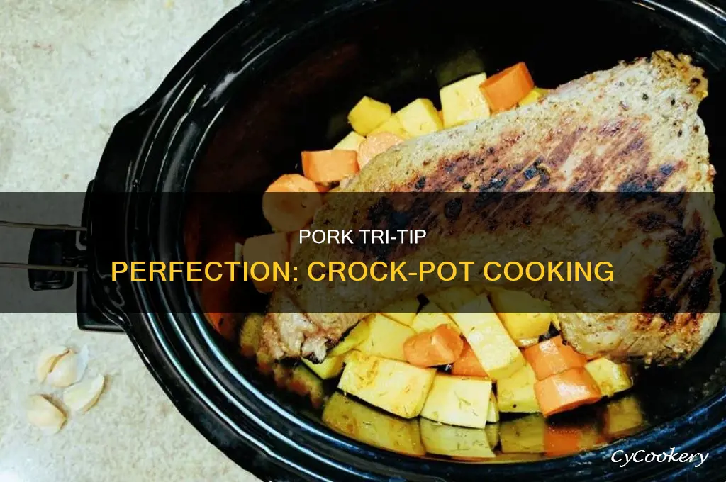 how to cook pork tri tip in crock pot