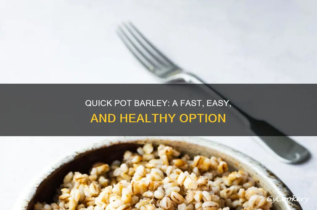 how to cook pot barley fast