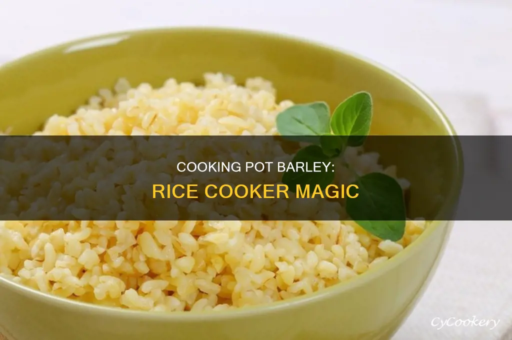 how to cook pot barley in a rice cooker