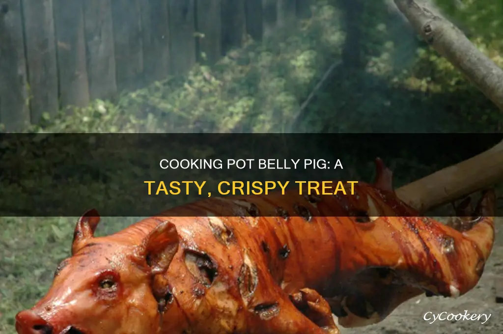 how to cook pot belly pig
