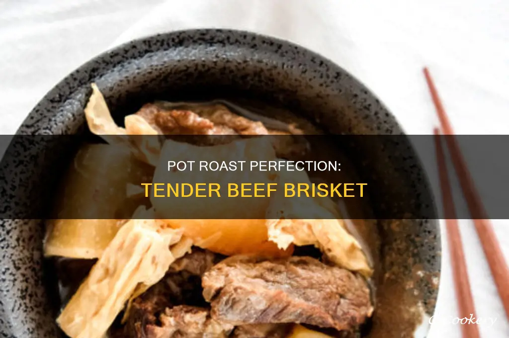 how to cook pot roast beef brisket
