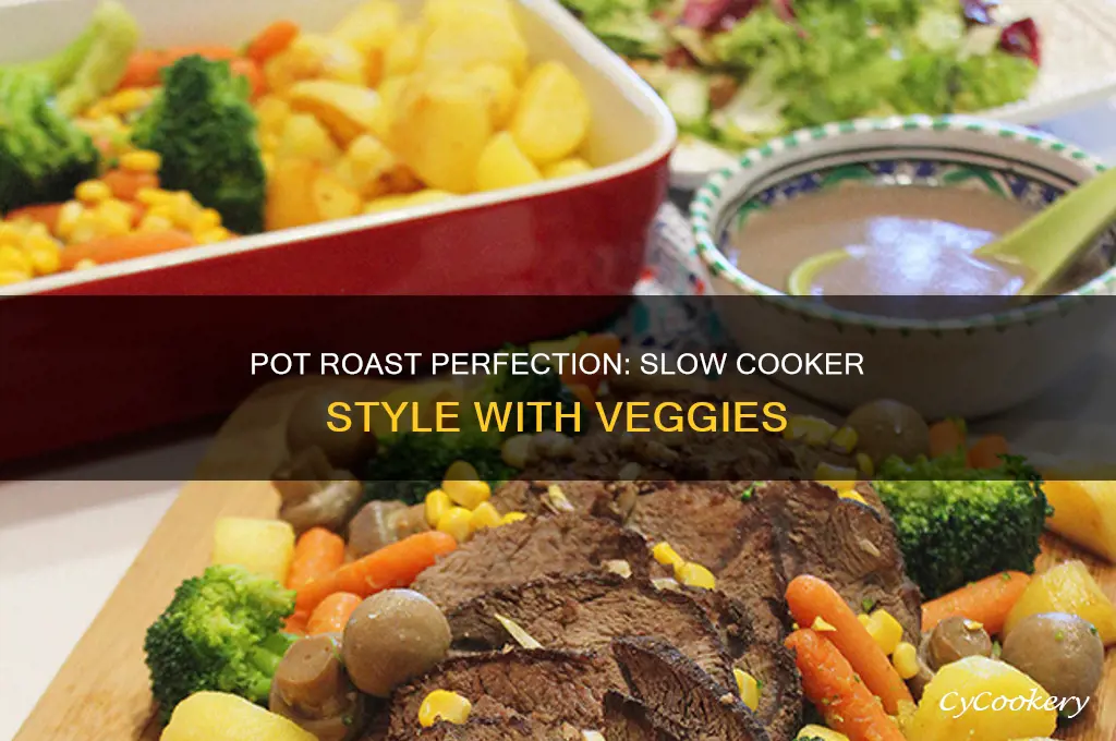 how to cook pot roast in slow cooker with vegetables