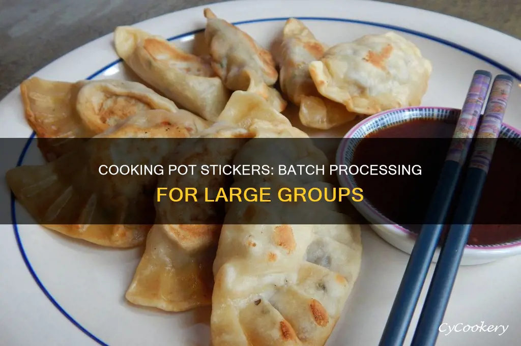 how to cook pot stickers in batches