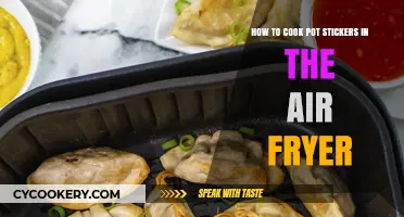 Crispy Pot Stickers: Air Fryer Magic in 15 Minutes