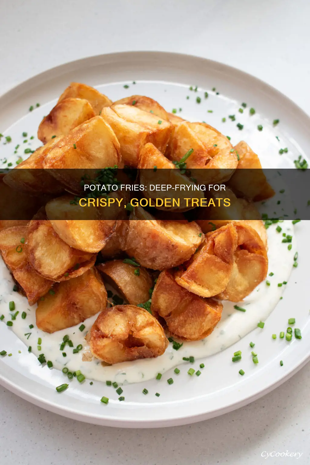 how to cook potato fries in deep fryer