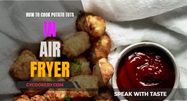 Air Fryer Potato Tots: Quick, Crispy, Golden Treats