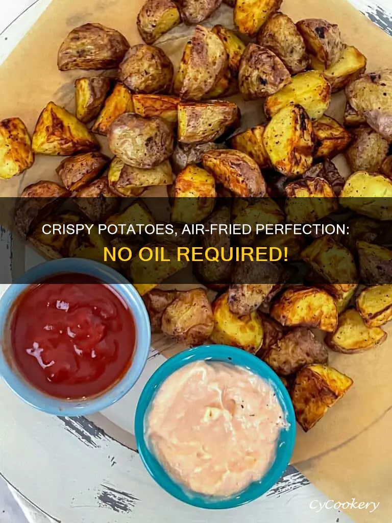 how to cook potatoes in air fryer no oil