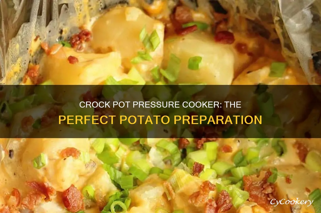 how to cook potatoes in crock pot pressure cooker