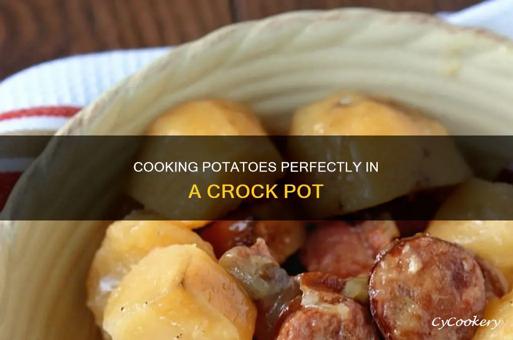 how to cook potatoes in crock pot so not black
